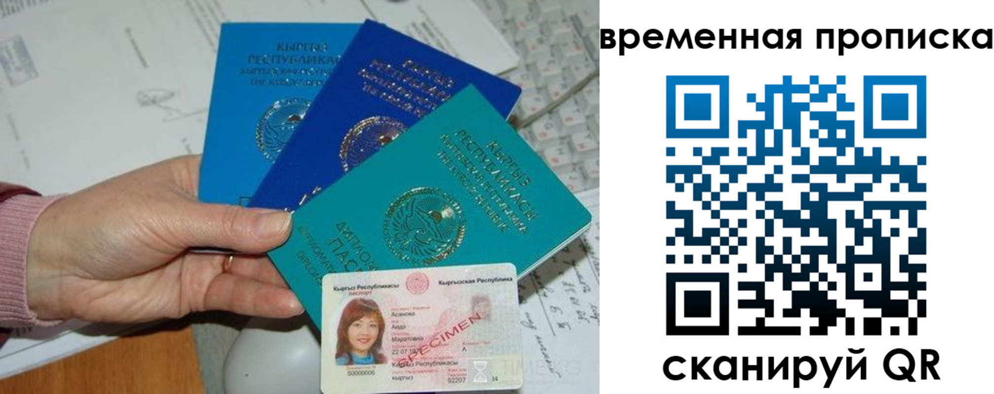прописка для школы в Туле